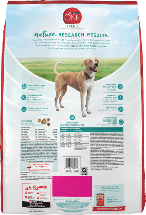 Purina ONE SmartBlend Digestive Health with Probiotics Chicken Adult Dry Dog Food 16.5 LB