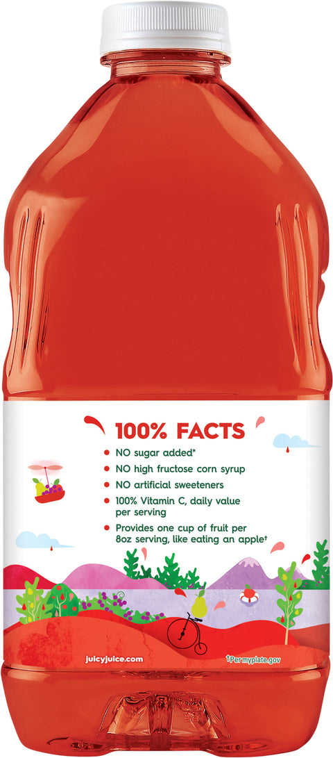 Juicy Juice 100% Fruit Punch 64 FZ