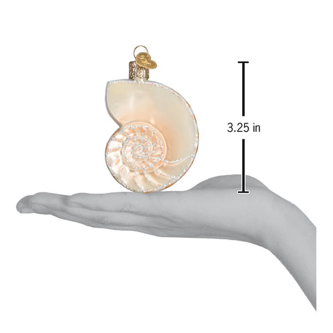 Nautilus Shell Ornament