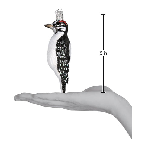 Hanging Hairy Woodpecker