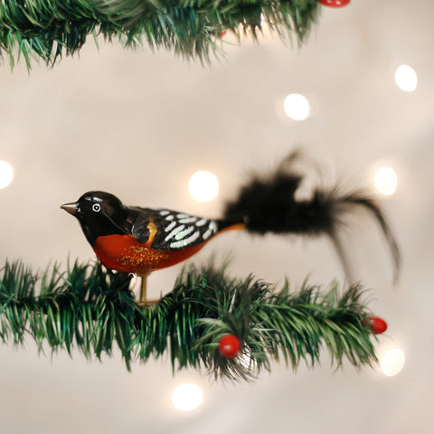 Baltimore Oriole Ornament