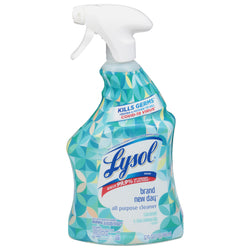 Lysol Coconut And Sea Minerals All Purpose Cleaner - 32.0 OZ 9 Pack