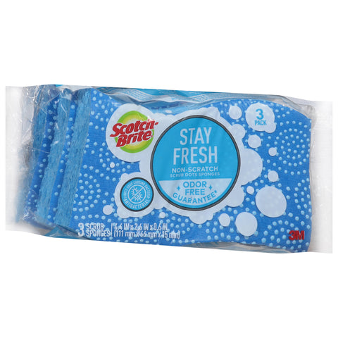 Scotch-Brite Scrub Dots No Scratch Sponges 3 CT