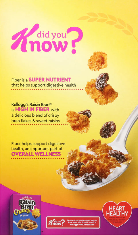 Kellogg's Raisin Bran Cereal Family Size 22.1 oz