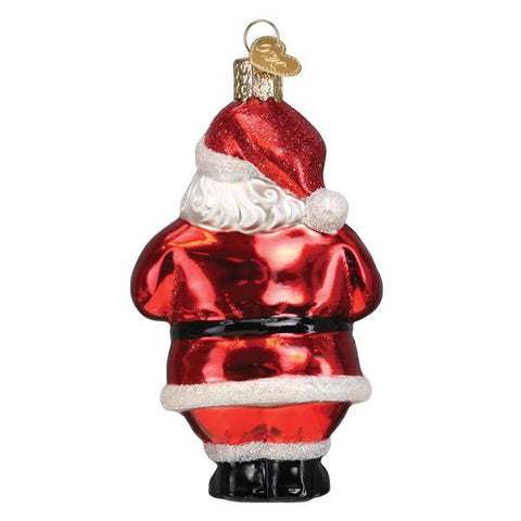 Santa Revealed Ornament