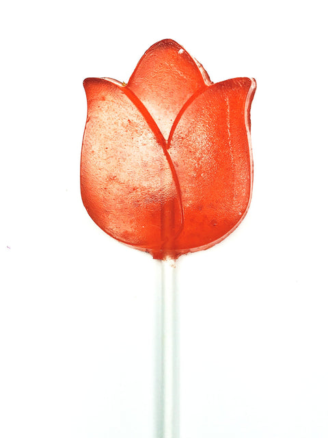 Lollipop - Tulip