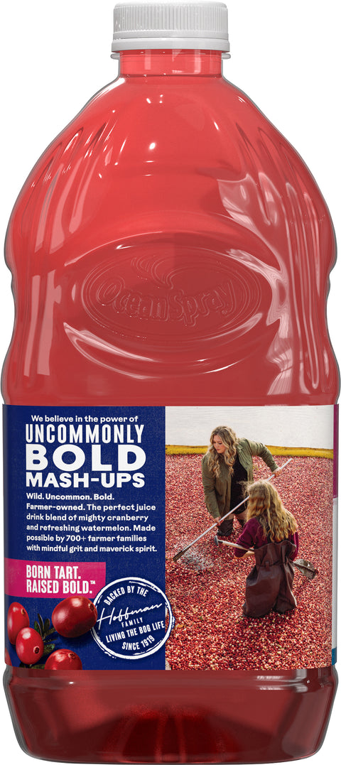 Ocean Spray Cranberry Watermelon Juice Drink 64 FZ