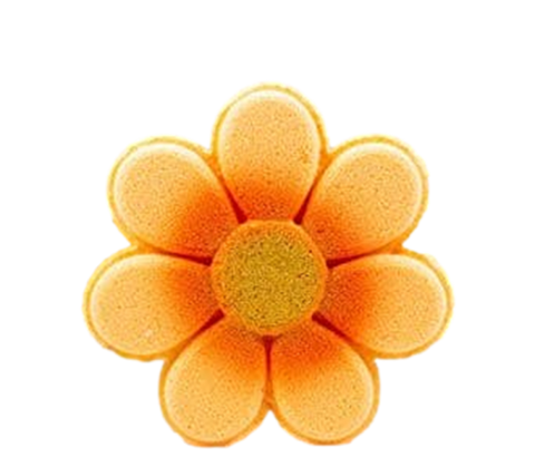 Essentially Nola Flower Power Bath Bombs - 5 OZ 6 Pack