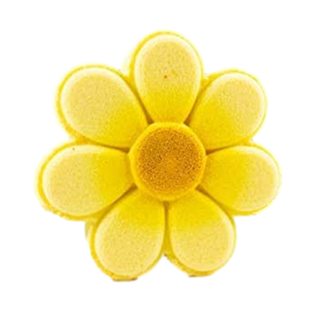 Essentially Nola Flower Power Bath Bombs - 5 OZ 6 Pack
