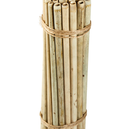 Brush with Bamboo Single Bamboo Straws - 1 CT 100 Pack