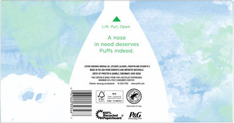 Puffs Facial Tissue Plus Family 124 CT