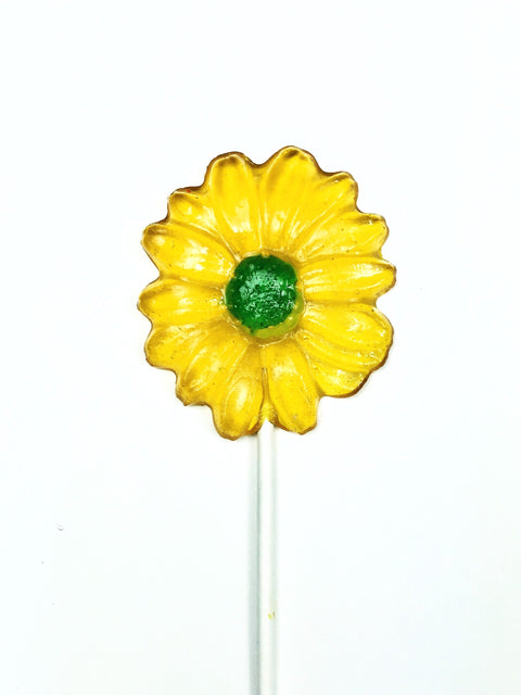 Lollipop - Daisies