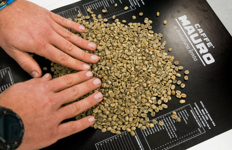 Caffe Mauro Avvolgente Whole Bean Coffee 2.2lb/1kg