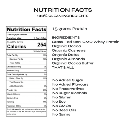 Chocolate Protein Bar