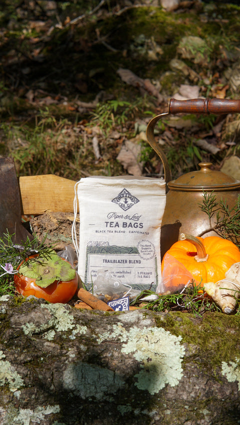 Trailblazer Blend 9ct Tea Bags in Muslin