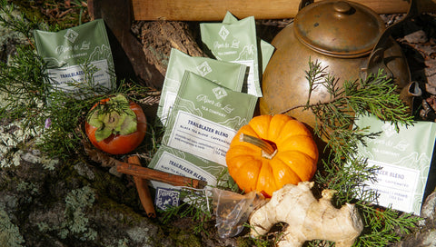 Trailblazer Blend Case of Individually Wrapped Tea Bags- 50ct