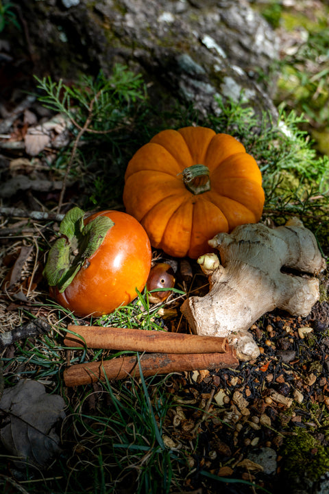 Trailblazer Blend Glass Jar of Loose Leaf Tea - 30 Servings