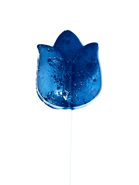 Lollipop - Tulip
