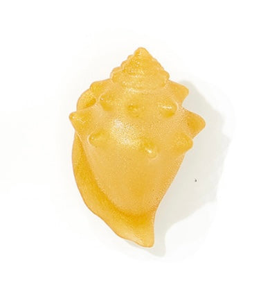 Nautical Nirvana - Conch Shell