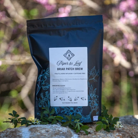 Briar Patch Brew Bulk Sachets - 70ct Tea Bags