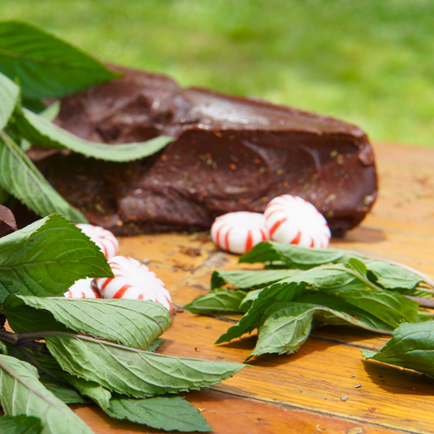 Minty Midnight Bulk Sachets - 70ct Tea Bags