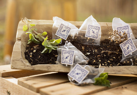 Sunrise Chai Bulk Sachets - 70ct Tea Bags