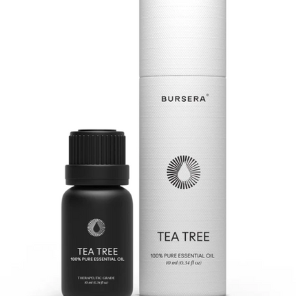 Bursera Tea Tree Essential Oil - 0.34 FL OZ 20 Pack