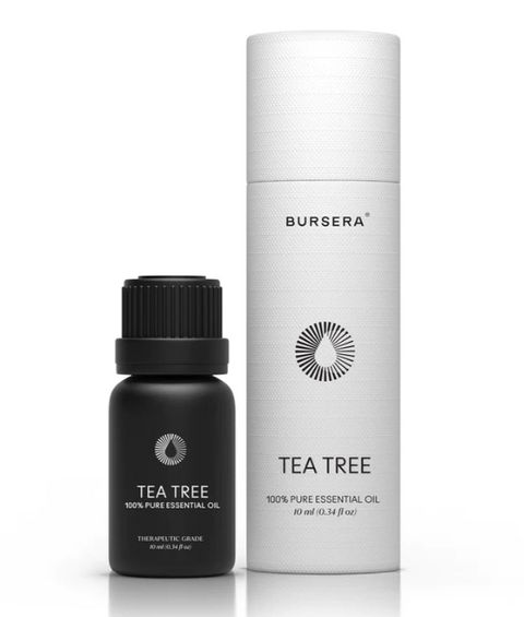 Bursera Tea Tree Essential Oil - 0.34 FL OZ 20 Pack