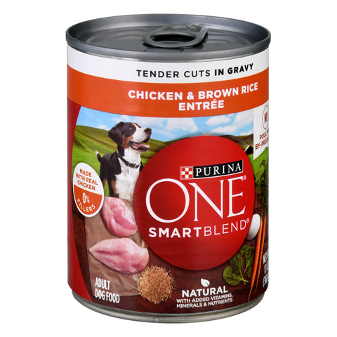 Purina One Can Wholesome Chicken and Brown Rice Dog Food 13 OZ
