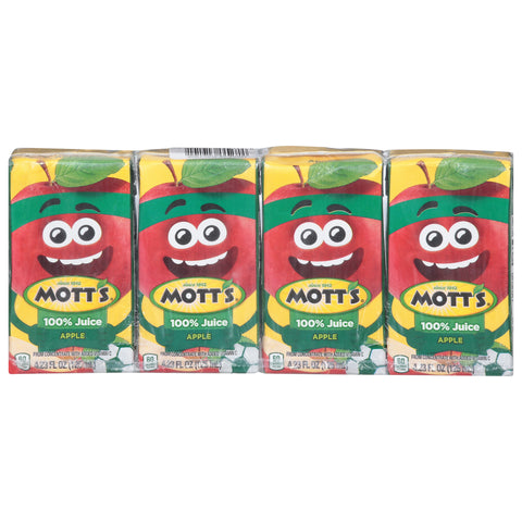 Mott's Apple Juice  16.92 FZ