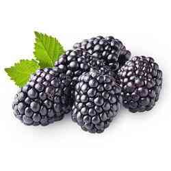 Blackberry Honey Bliss: Sweeten Dishes with Nature's Delight
