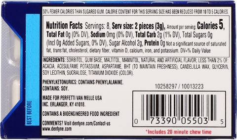 Dentyne Ice Sugar Free Peppermint Gum 16 ea