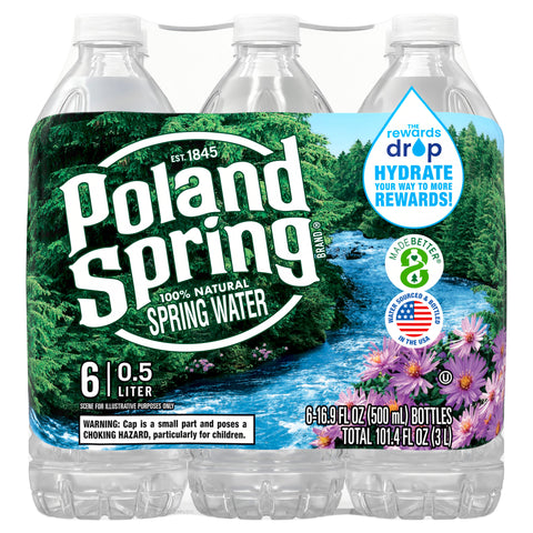 POLAND SPRING Brand 100% Natural Spring Water, 16.9-ounce plastic bottles (Pack of 6) - 4 Pack