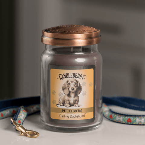 Darling Dachshund™ - Large Jar Candle (Collective)