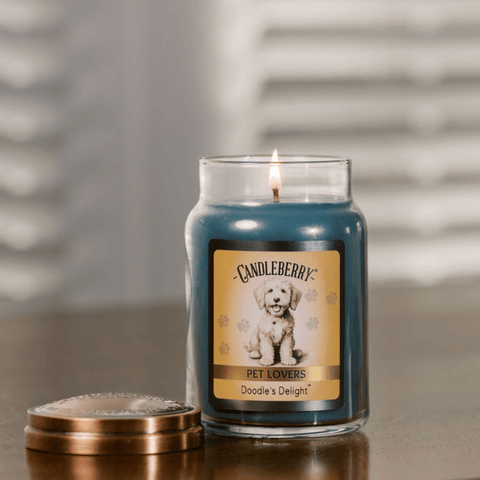 Doodle's Delight™ - Large Jar Candle (Collective)