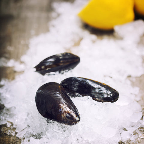 Buy Fresh Mussels Online – Sustainably Harvested and Delivered to Your Door