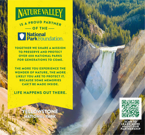 Nature Valley Protein Salted Caramel Nut Chewy Bars 7.1 OZ
