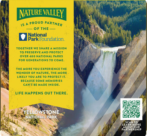 Nature Valley Protein Peanut Butter Dark Chocolate Chewy Bars 7.1 OZ