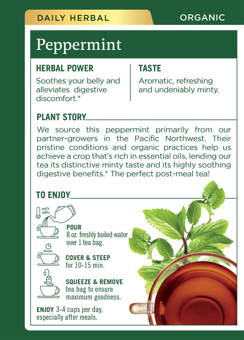 Traditional Medicinals Organic Peppermint Tea 16 CT