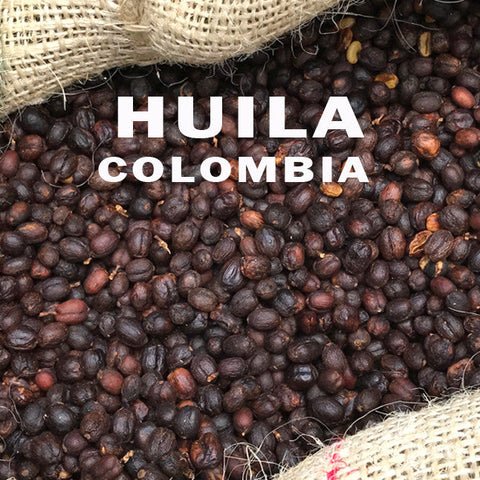 Colombia: Nevado Gold (Stone Fruit & Bright Citrus)