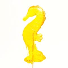 Lollipop - Seahorse