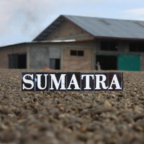 Sumatra Mandheling (Giling Basah Grade 1)