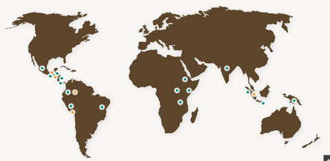 Wanderers Mark Sample Pack Coffee