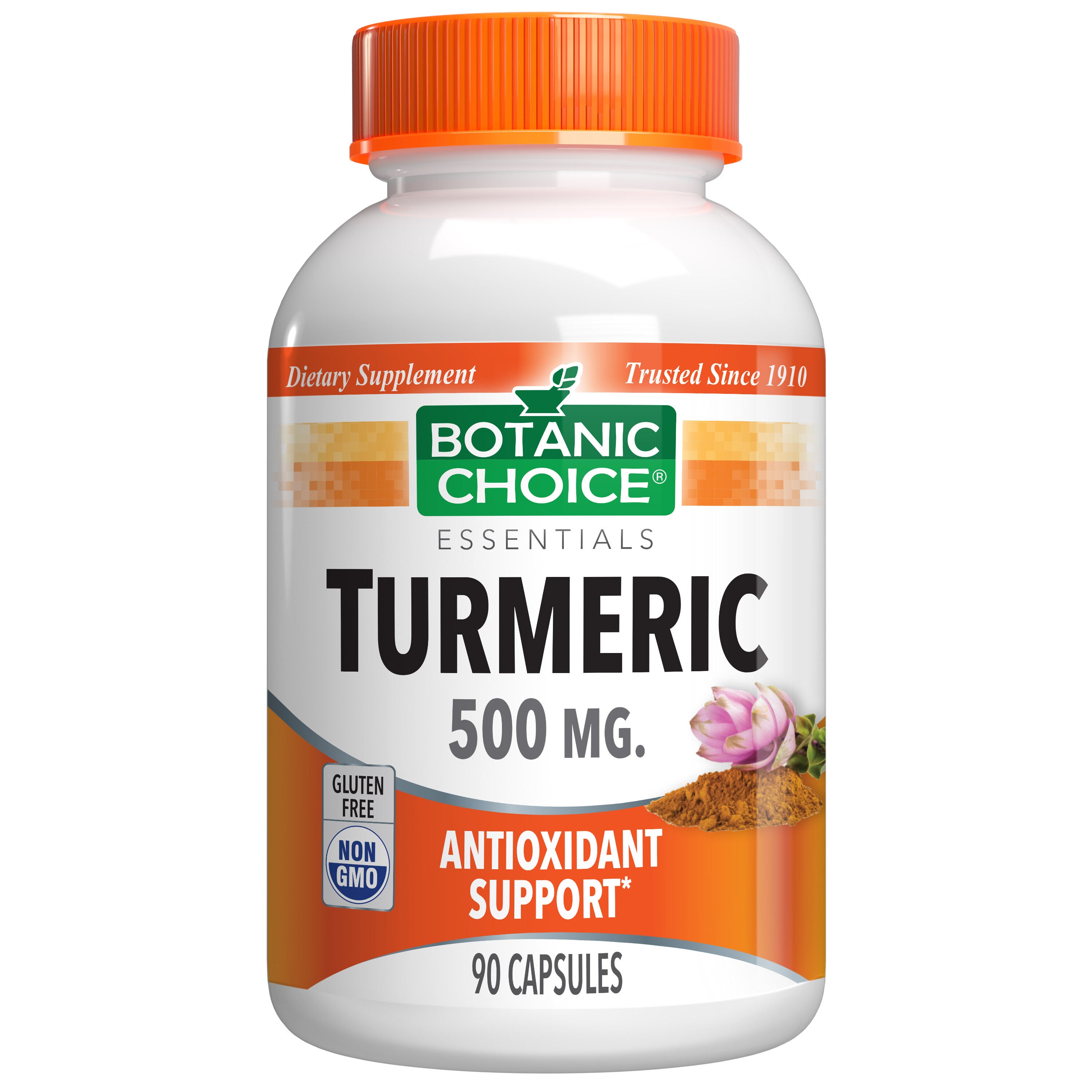 Botanic Choice TURMERIC 500 MG - 90 CT 12 Pack – StockUpExpress