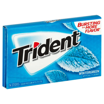 Trident Wintergreen Sugar Free Gum - 14 CT 12 Pack