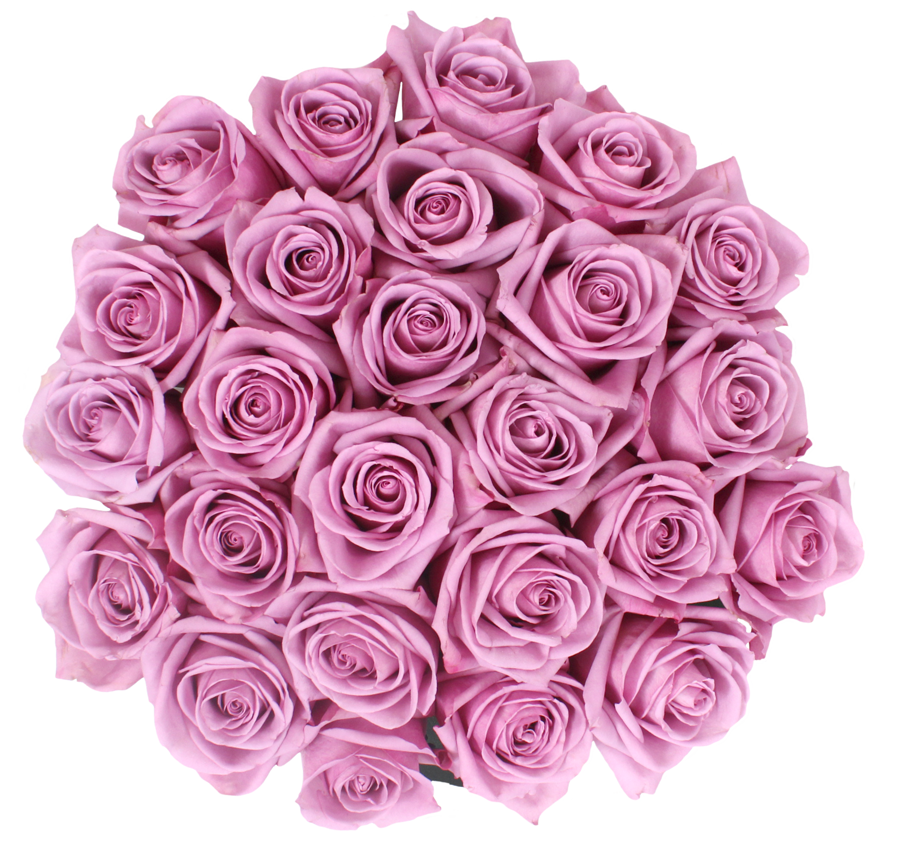 2 x 1 ROSES BUY 25 Stems Get 25 Stems FREE (25 Stems per Bunch)