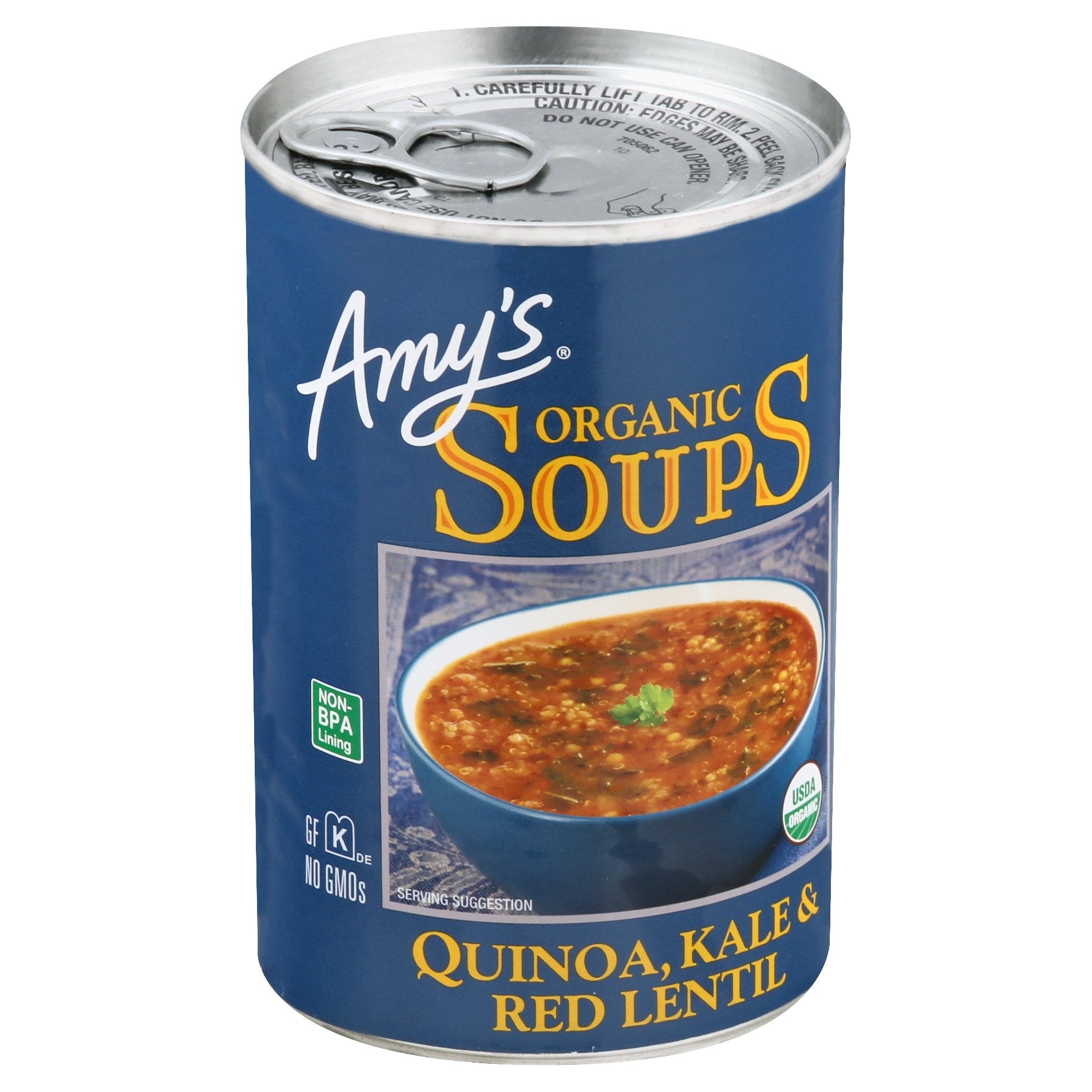 Amy's Soup Vegan Gluten Free Organic Lentil Light in Sodium 14.5 Ounce  (Pack of 12) Light