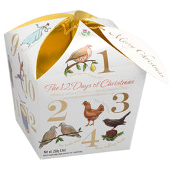 Great Scot International DBA Scottish Specialty Foods 12 Days of Christmas Carton - Apple Cinnamon Fudge - 8.8 OZ 12 Pack